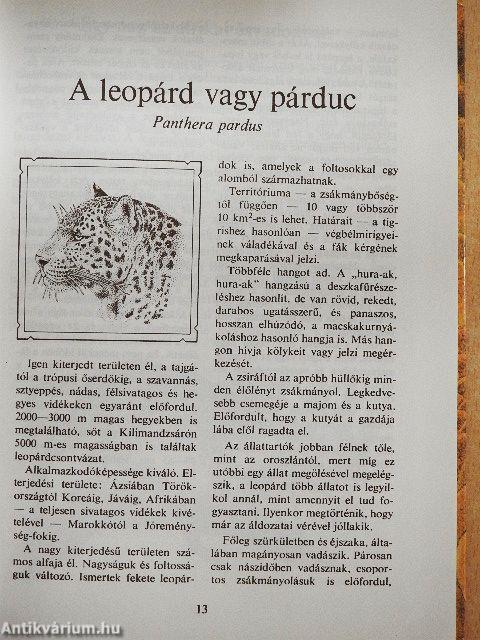 Fogakkal és karmokkal