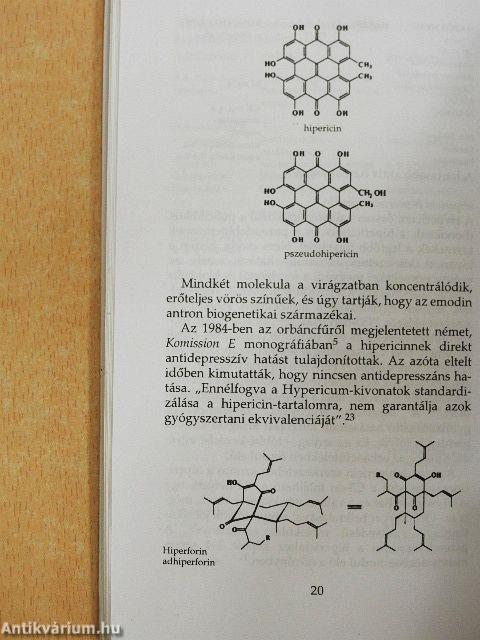 Hypericum