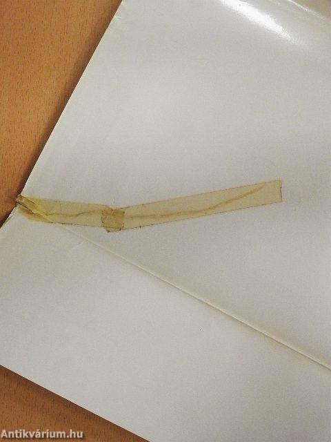 Magyar családélet és háztartás I.