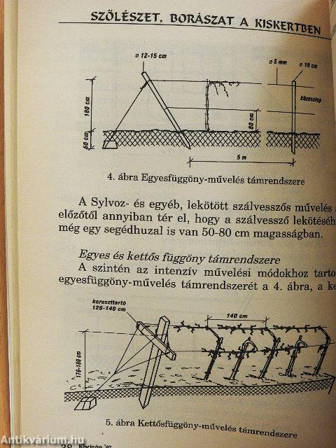Szőlészet, borászat a kiskertben
