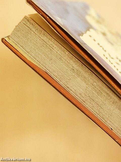 A négyes számú fedezék