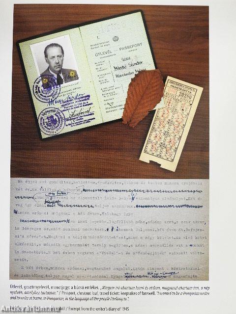 Márai Közép-Európája, Közép-Európa Máraija