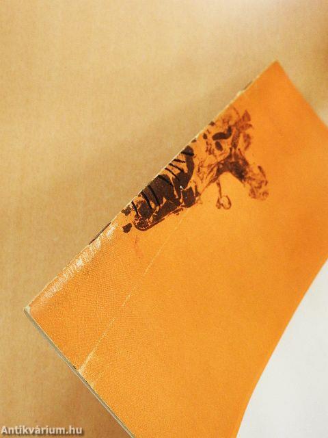 Északamerikai indiánok