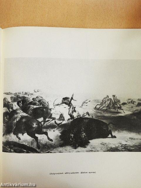 Északamerikai indiánok