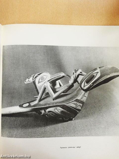 Északamerikai indiánok