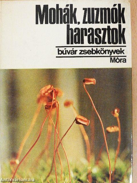 Mohák, zuzmók, harasztok