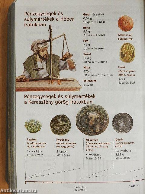 Szentírás - Új világ fordítás