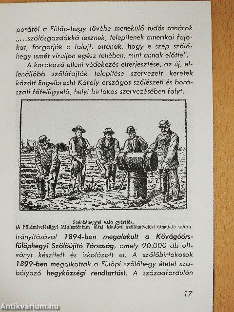 "...tüzes ízű fülöpi"