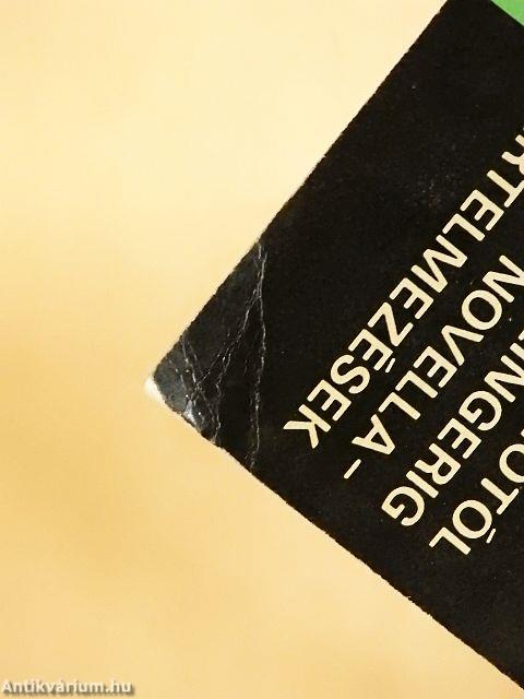 Boccacciótól Salingerig