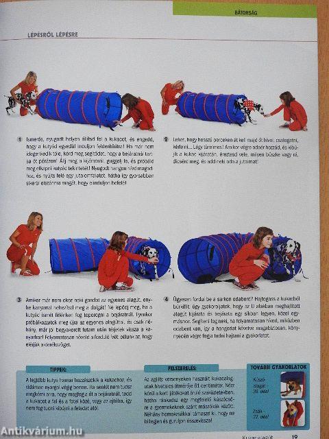 10 perces kutyaiskola