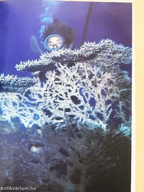 Érintetlen mélységekben