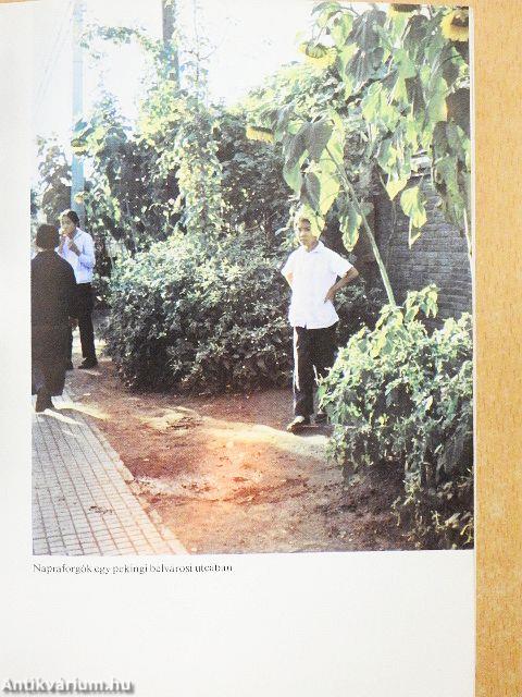 A fal mögött: Kína