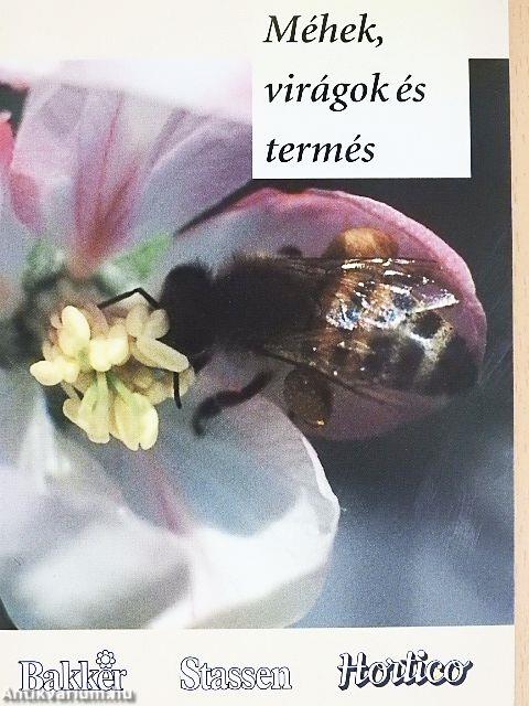 Méhek, virágok és termés
