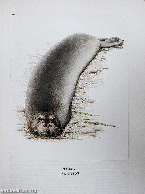 Säugetiere Europas II.