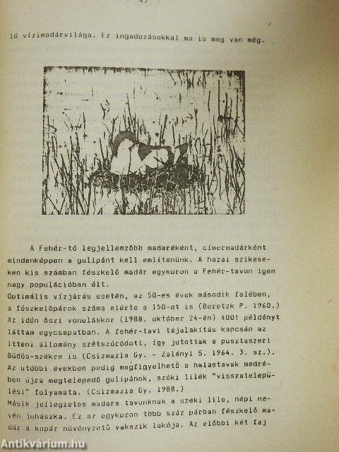 Csongrád megyei honismereti híradó 1988