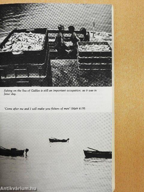 The Gospel according to Matthew