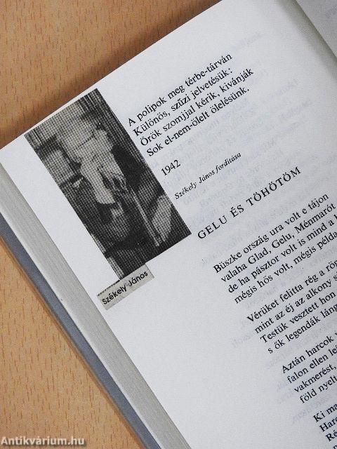 Román költők antológiája