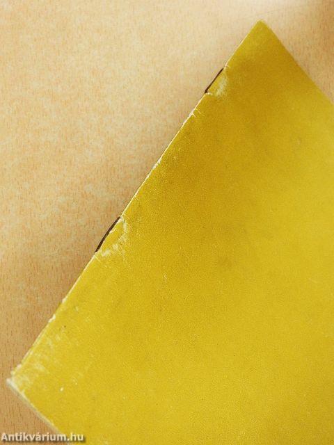 Die Orgel von Aquincum