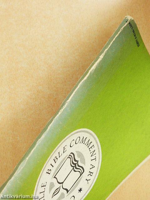 The Gospel according to John