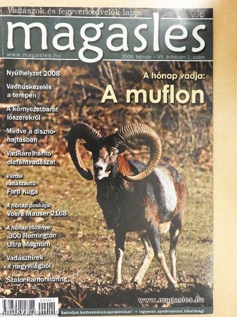 Magasles 2009. február