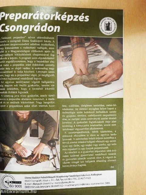 Magasles 2008. február