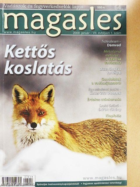 Magasles 2009. január