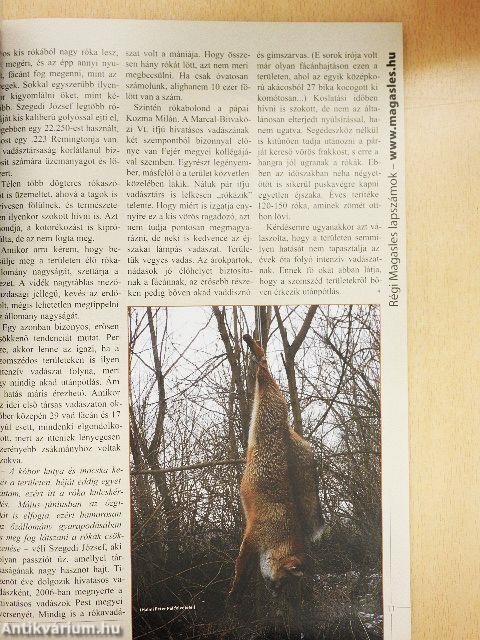 Magasles 2009. január