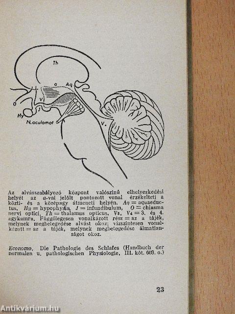 Alvás és altatószeres gyógykezelés