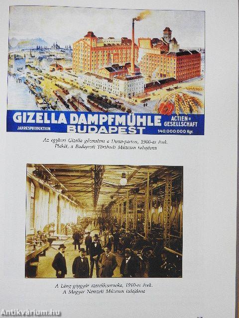 Kisiklott történelem