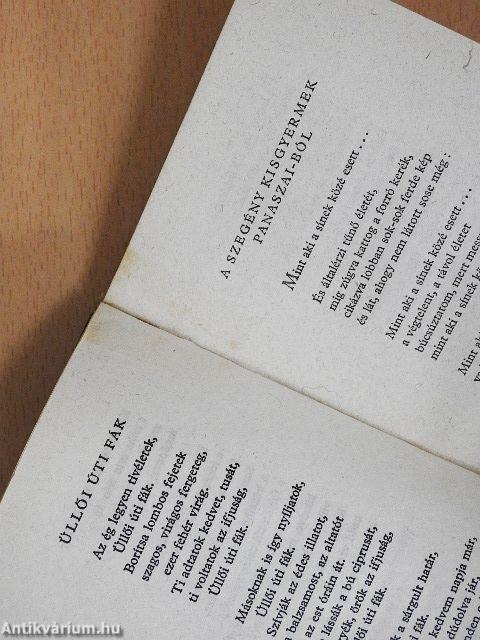 Kosztolányi Dezső válogatott versei