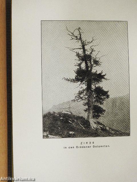 Über Naturschilderung (gótbetűs)