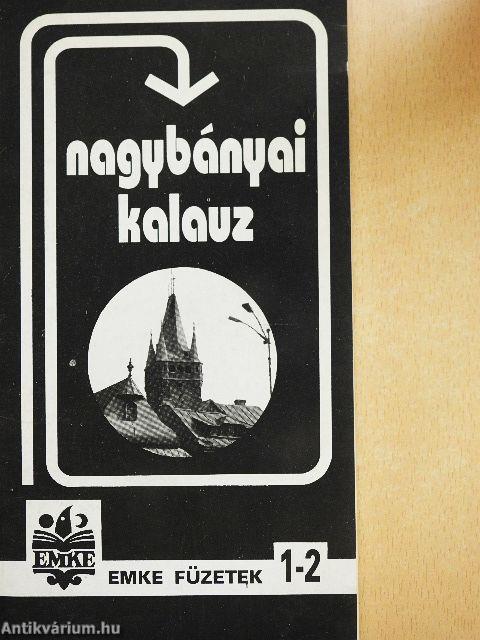 Nagybányai kalauz