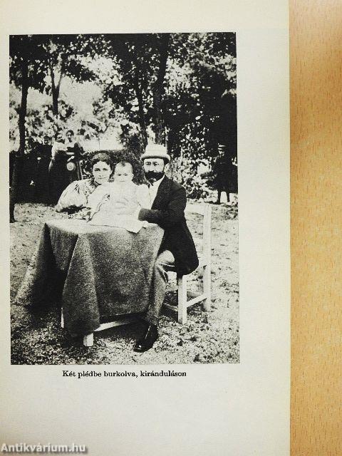 Déry Tibor alkotásai és vallomásai tükrében