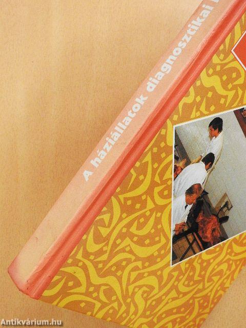 A háziállatok diagnosztikai boncolása (rossz állapotú)