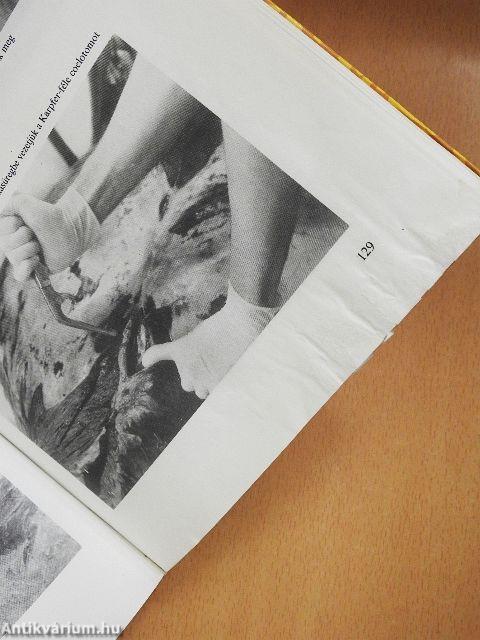 A háziállatok diagnosztikai boncolása (rossz állapotú)