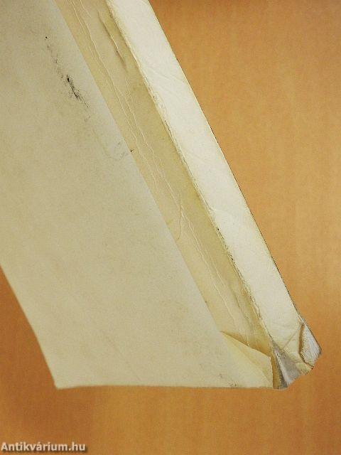 Légiutaskísérő kézikönyv