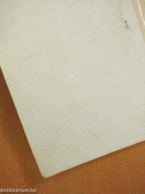 Légiutaskísérő kézikönyv