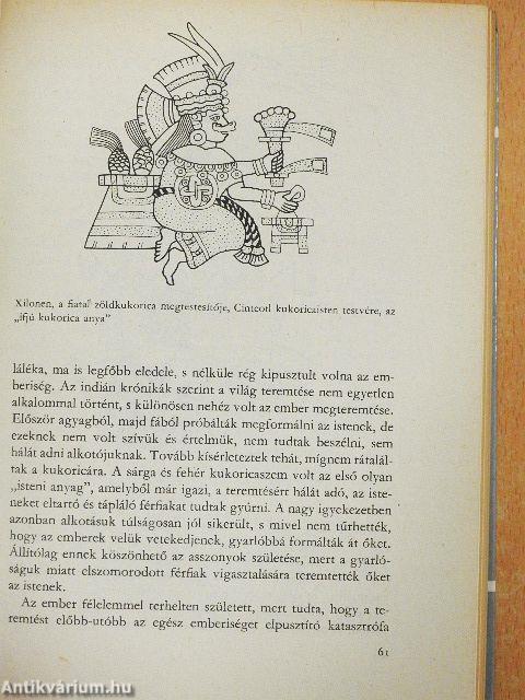 Kukoricaisten gyermekei