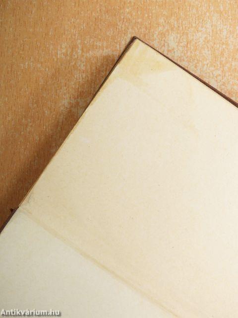 Magyar és német zsebszótár I-II.