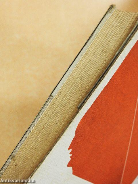 A hatóságok félrevezetése