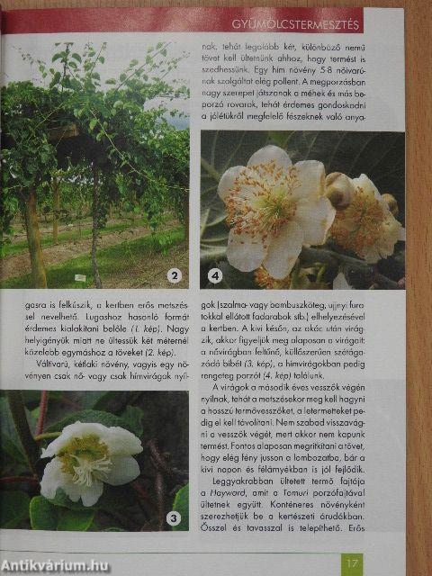 Kerti kalendárium 2017. augusztus