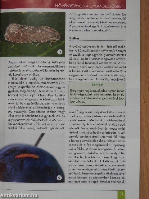 Kerti kalendárium 2017. augusztus