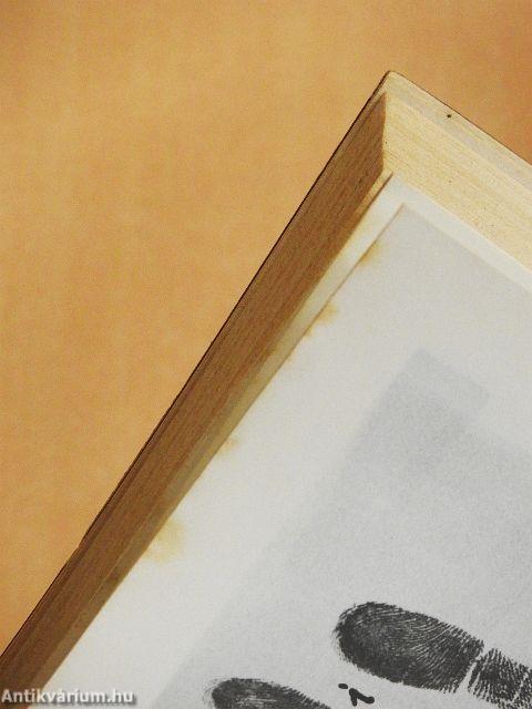 Kézvonalak-embersorsok