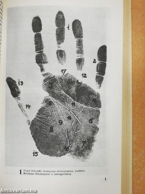 Kézvonalak-embersorsok