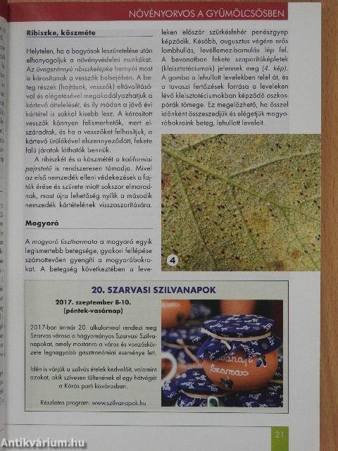 Kerti kalendárium 2017. szeptember