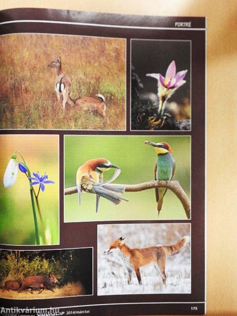 Magyar Vadászlap 2014. március