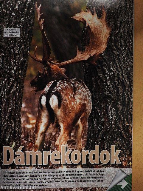 Magyar Vadászlap 2013. október