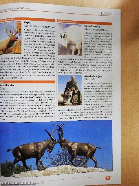Magyar Vadászlap 2013. január