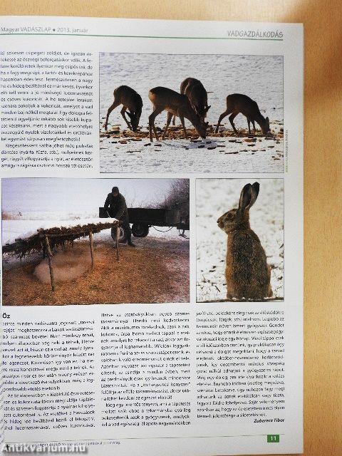 Magyar Vadászlap 2013. január