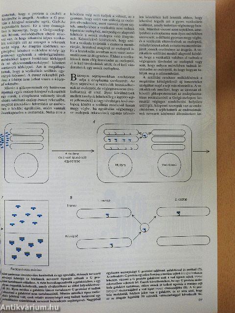 Tudomány 1985. november